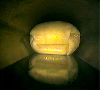 felt lining inverting to fill the pipe