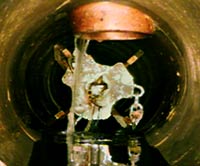 lumberjack approaching service connection that needs trimming