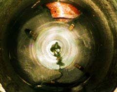 lumberjack cutting tool in motion